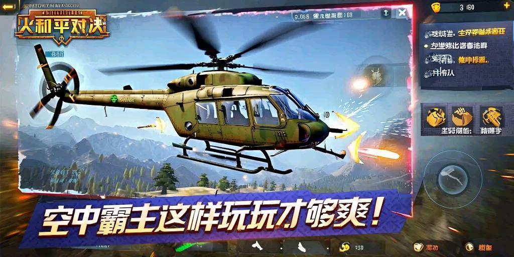 和平精英辅助【内部G简洁版】