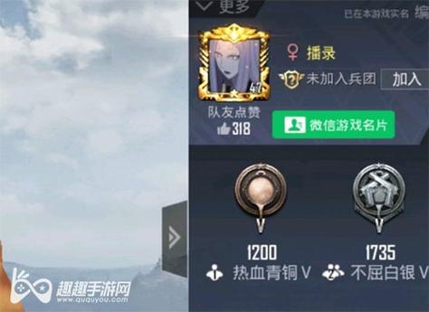 和平精英辅助【UN】